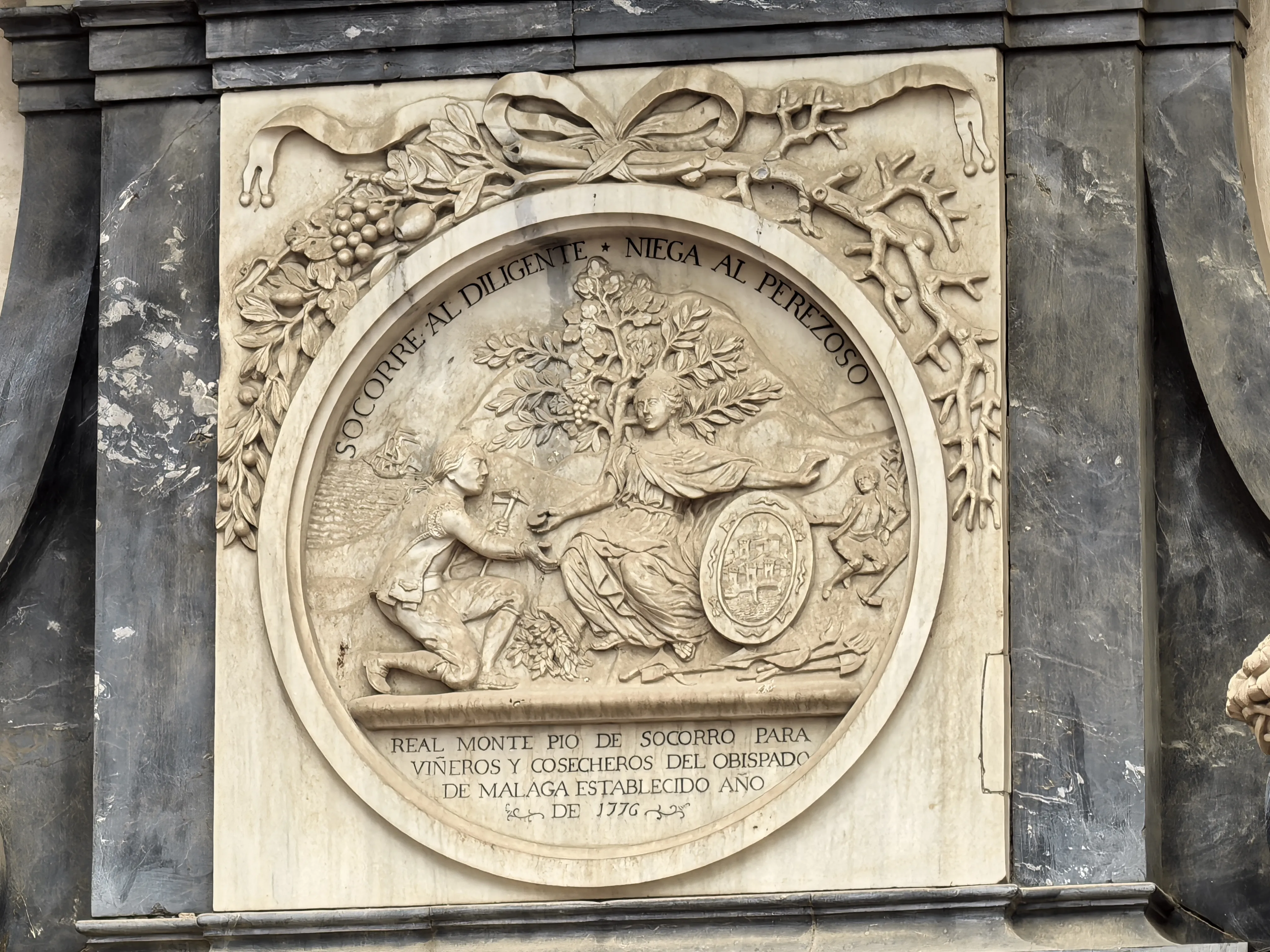 HUAWEI Pura 70 Ultra - System Aparatów - IMG_20251117_163056.webp